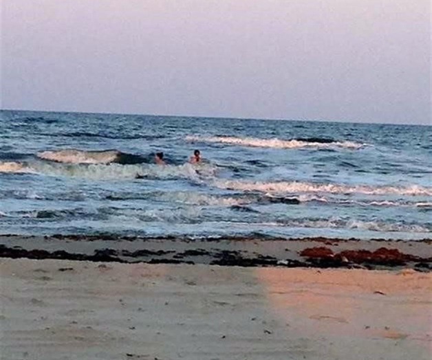 México limpia costas con peces muertos por marea roja México limpia costas con peces muertos por marea roja