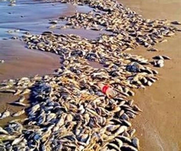 Alcanza marea punto crítico Alcanza marea punto crítico