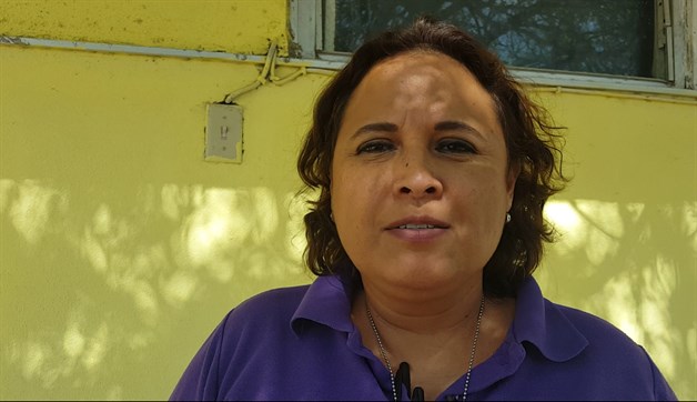 Piden ayudacontra oruga Piden ayudacontra oruga