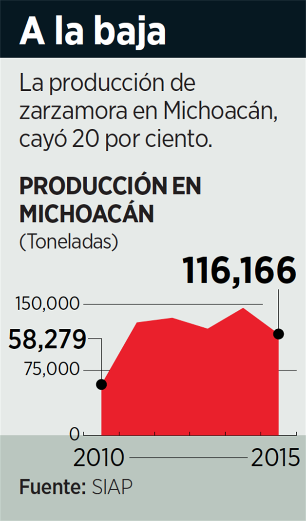 PlaceHolder Imagen PlaceHolder Imagen