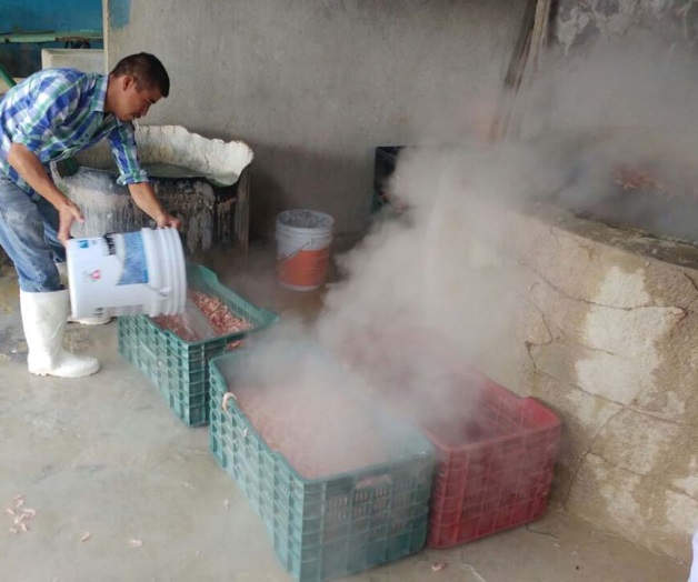 Aumenta el precio por kilo del camarón