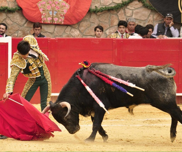 Ibelles por Gutiérrez, en novillada de la Plaza México