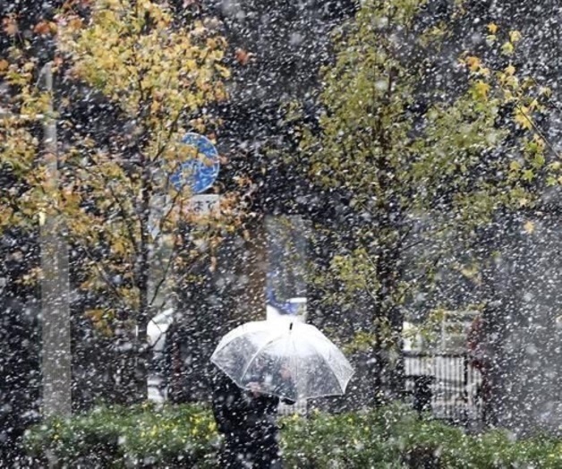 Vive Tokio primera nevada en 54 años