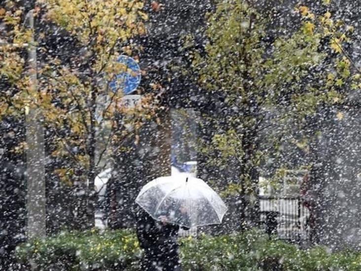 Vive Tokio primera nevada en 54 años Vive Tokio primera nevada en 54 años