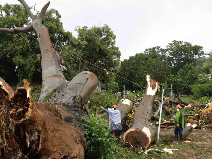 Huracán Otto deja 9 muertos en Costa Rica Huracán Otto deja 9 muertos en Costa Rica