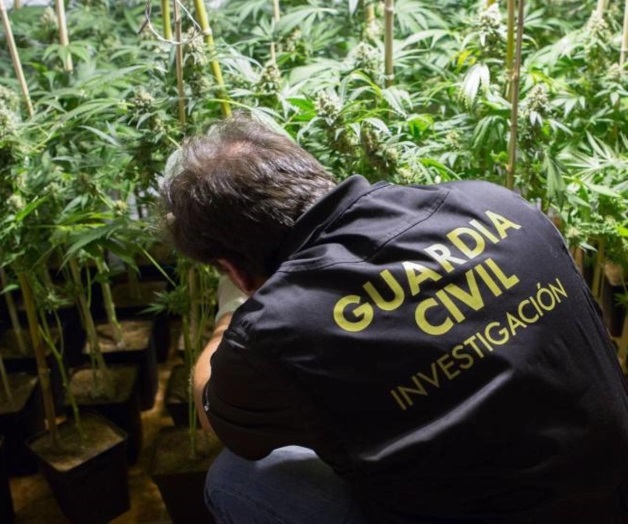 Marihuana destruye los tumores: Estudio