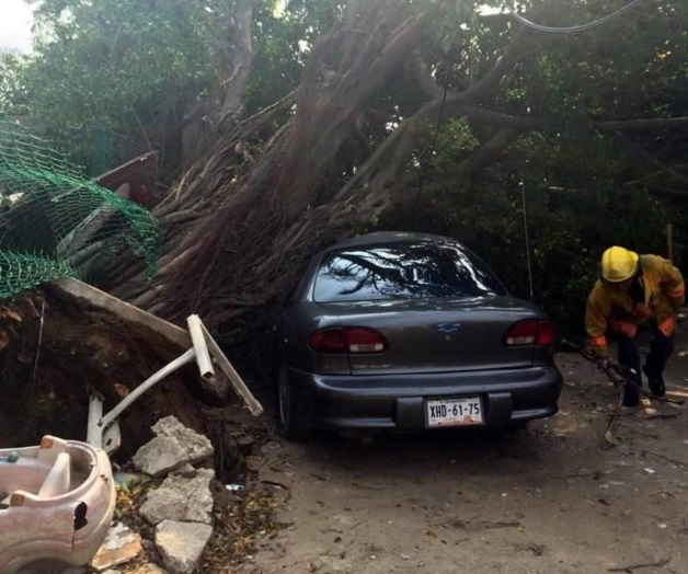 Vientos causan estragos en Zona Conurbada