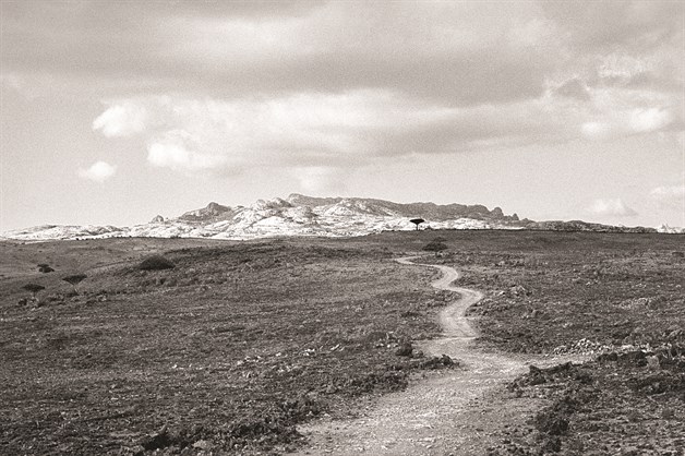 Socotra, la isla de los misterios