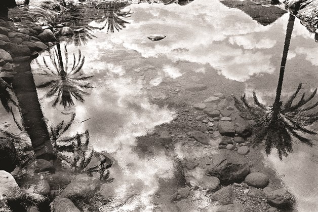 Socotra, la isla de los misterios