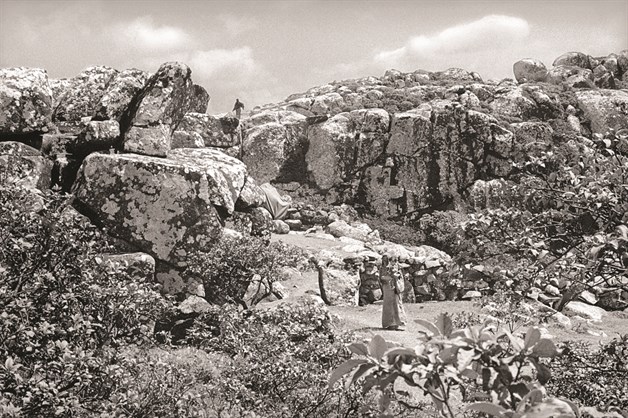 Socotra, la isla de los misterios