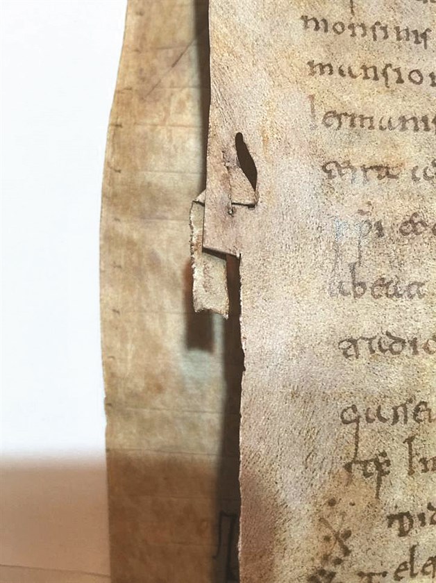 Cartularios de Valpuesta:cuando el latín se hizo español