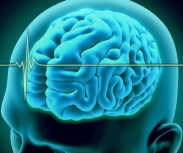 ¿A qué se refiere el diagnóstico muerte cerebral?