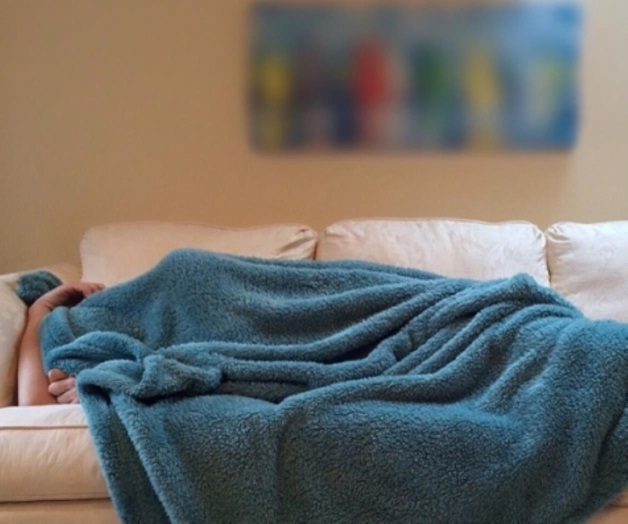 Mientras se duerme se aprende, según estudio Mientras se duerme se aprende, según estudio