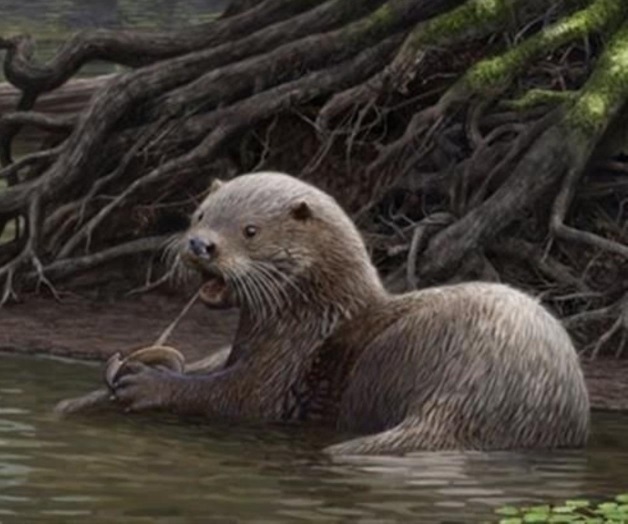 Descubren nutria prehistórica gigante
