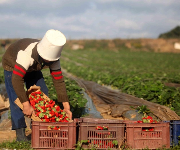 Advierte agro reciprocidad con EU