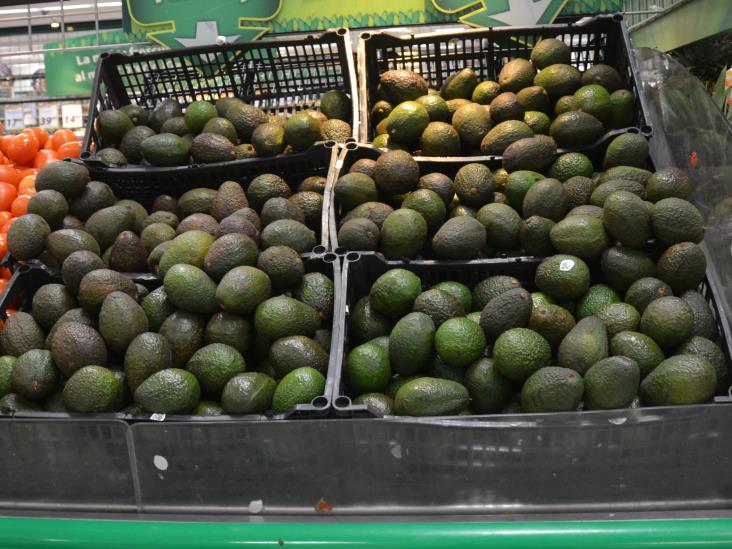 Descartan vetocontra aguacate Descartan vetocontra aguacate