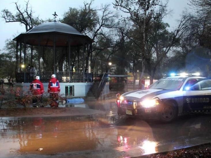 Hallan a hombre muerto en la Alameda Hallan a hombre muerto en la Alameda