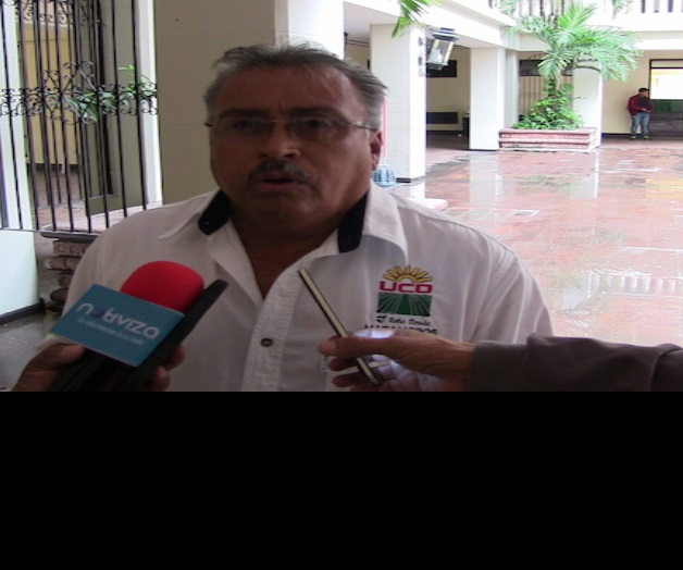 Solicitará la UCD agilizar la regularización de vehículos