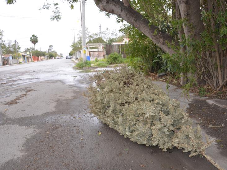 Tiran el ‘espíritu navideño’ Tiran el ‘espíritu navideño’