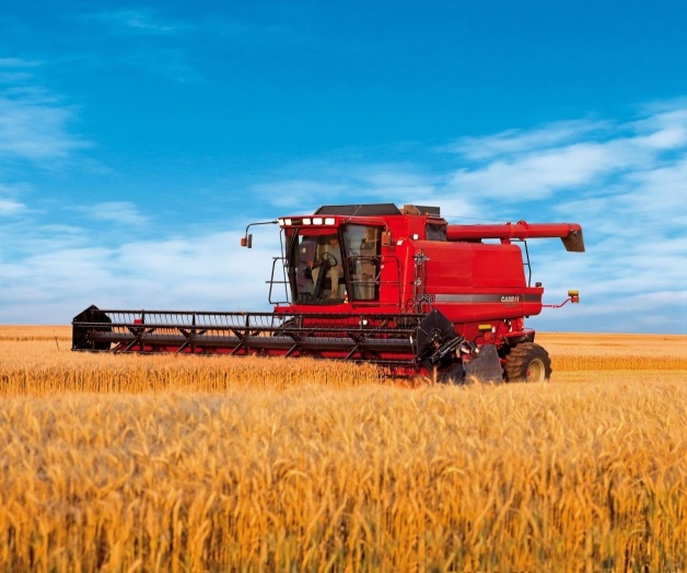 Falla a México plan de biocombustibles