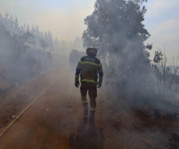 Incendios forestales ceden y comienza reconstrucción