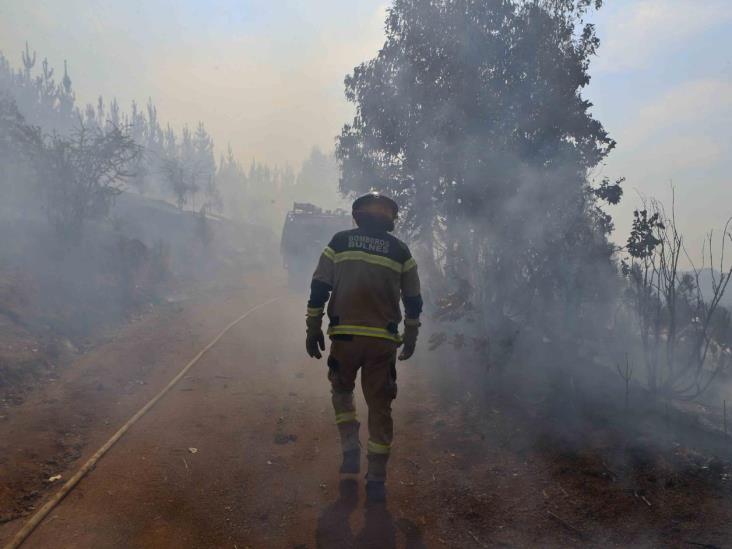 Incendios forestales ceden y comienza reconstrucción Incendios forestales ceden y comienza reconstrucción