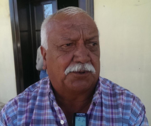 Alertan sobre el pulgón amarillo