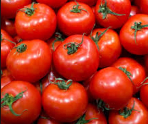 México, considerado potencia exportadora México, considerado potencia exportadora