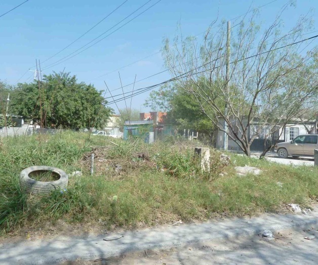 Viven pesadilla con plaga de zancudos. La Cavazos Lerma clama por ayuda