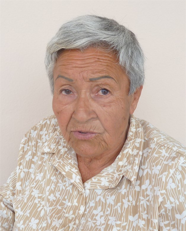 Viven pesadilla con plaga de zancudos. La Cavazos Lerma clama por ayuda