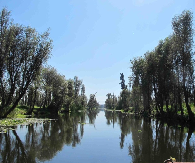 Xochimilco podría desaparecer si siguen sus problemas ambientales