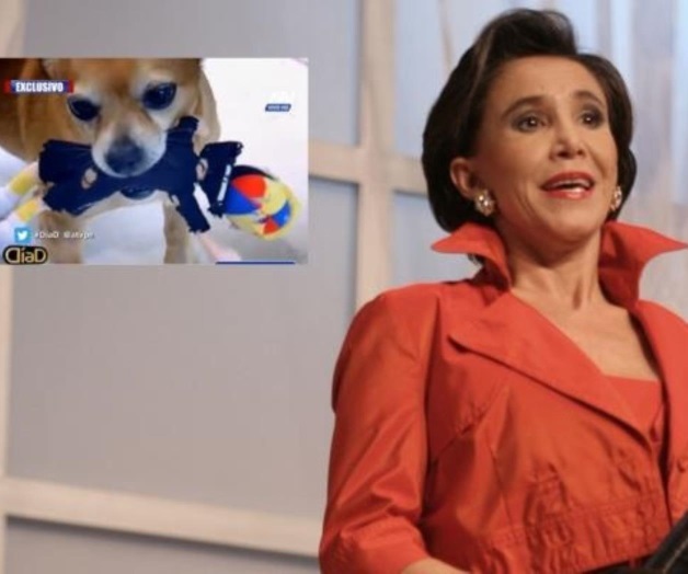 Muñeco de Kiko es juguete del perro de Florinda Meza