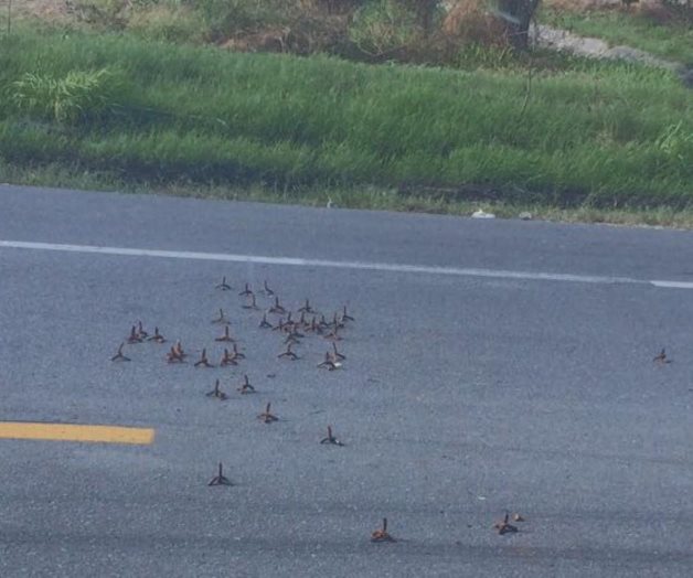 Endurecen combate contra los cárteles. Van contra ‘halcones’ y uso de ‘ponchallantas’