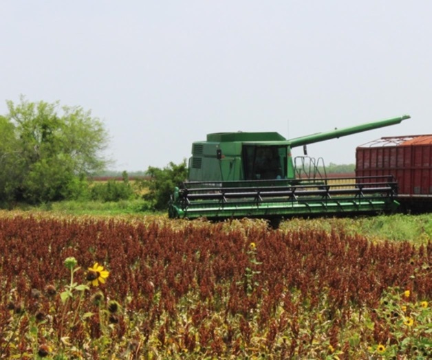 Piden actualizar los estímulos del ingreso objetivo