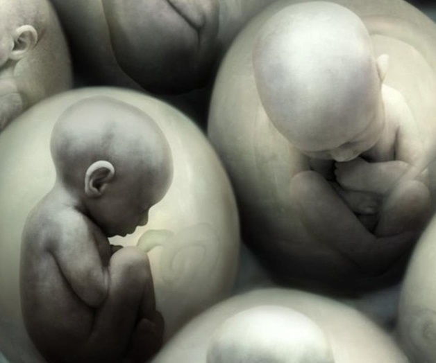 Prohíben la clonación humana en Tamaulipas