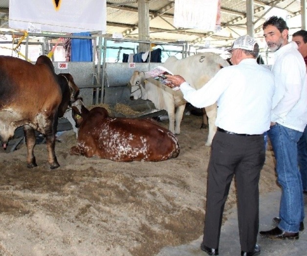 Respalda la construcción de Rastro TIF