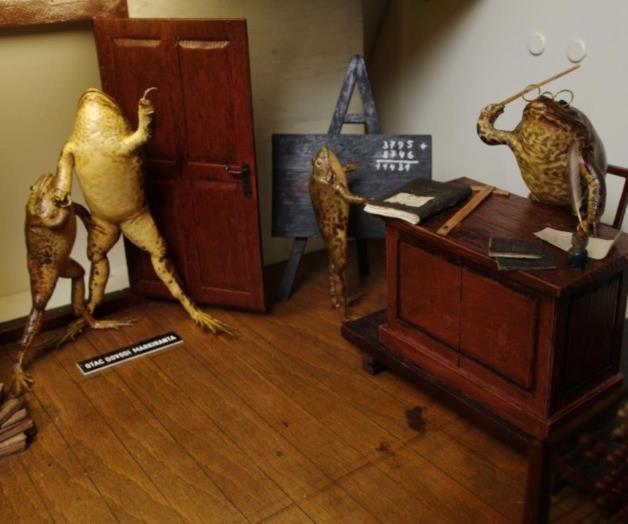 El curioso museo de las ranas