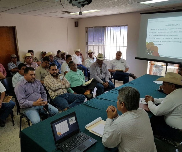 Habilita Aserca ‘coyotes’ para timar a productores Habilita Aserca ‘coyotes’ para timar a productores