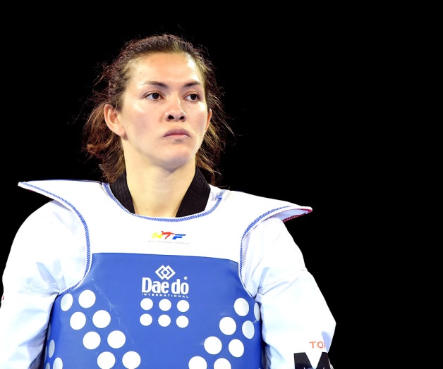 DOMINAN SUS CATEGORÍAS DOMINAN SUS CATEGORÍAS