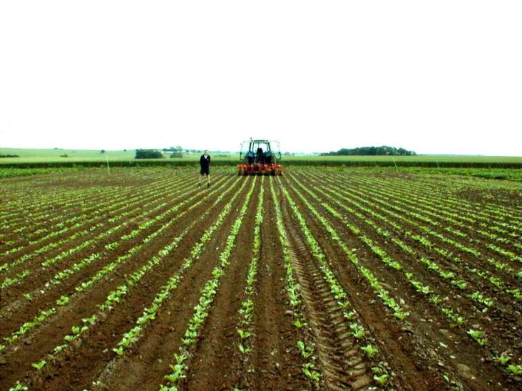 Gana agro de EU y México Gana agro de EU y México