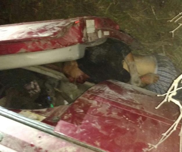 Cae al canal con todo y su automóvil, muere Cae al canal con todo y su automóvil, muere