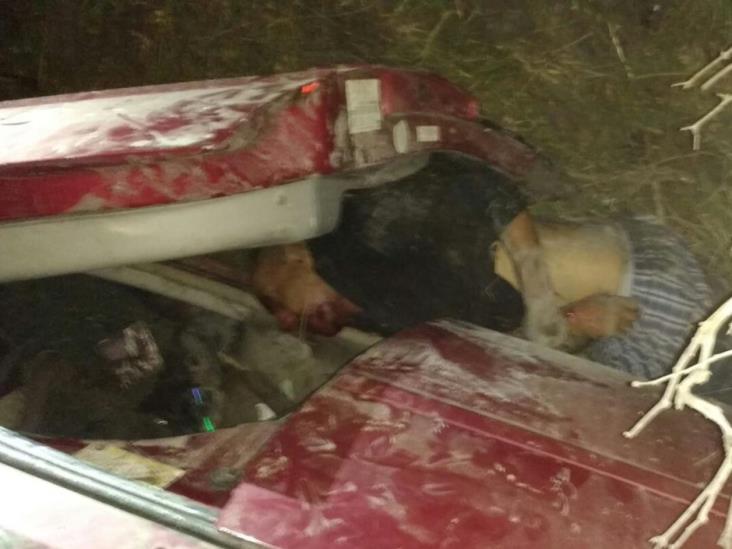 Cae al canal con todo y su automóvil, muere Cae al canal con todo y su automóvil, muere