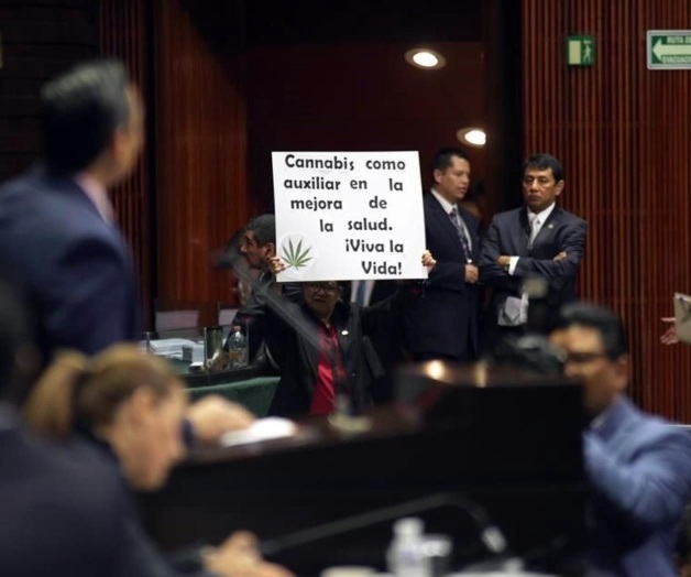 Aprueban diputados uso medicinal de la mariguana