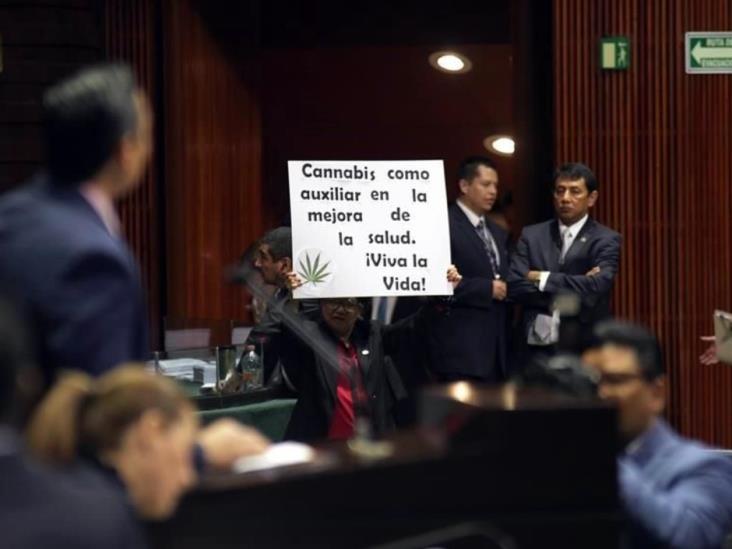 Aprueban diputados uso medicinal de la mariguana Aprueban diputados uso medicinal de la mariguana