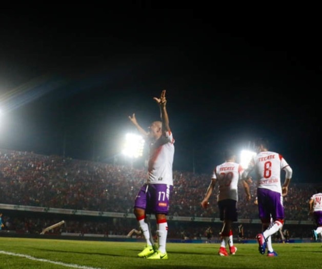 Tiburón, vivito y coleando