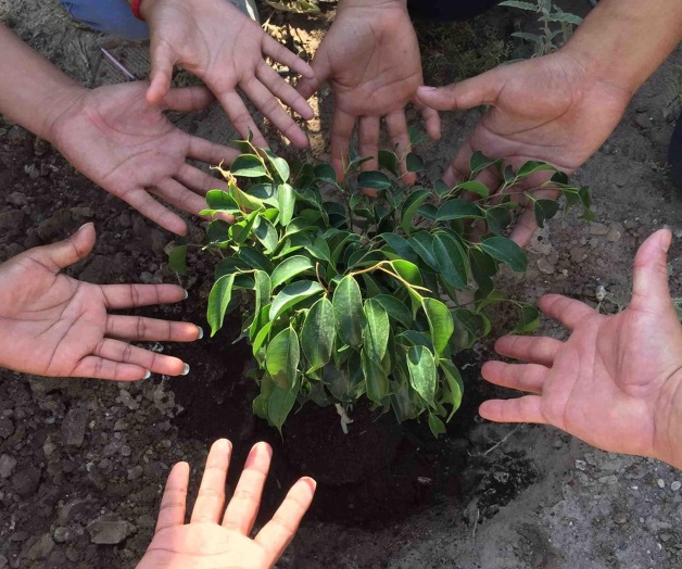 Contribuye maquiladora a cuidado del medio ambiente