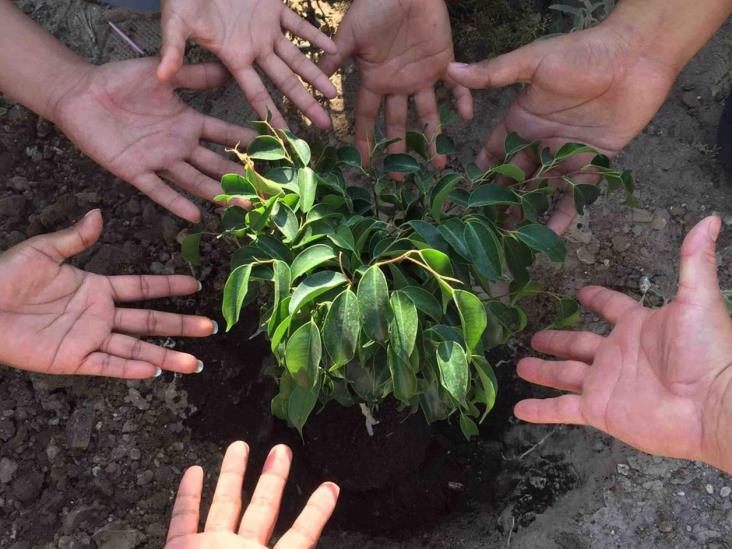 Contribuye maquiladora a cuidado del medio ambiente Contribuye maquiladora a cuidado del medio ambiente