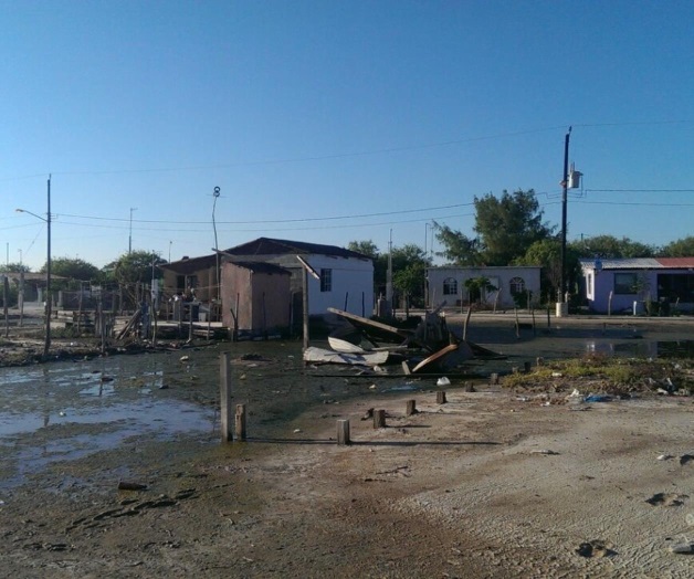 Claman por fumigación