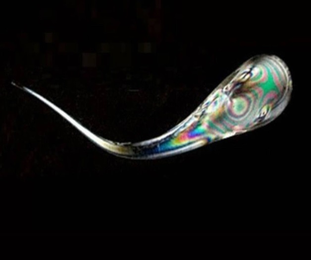 Resuelven el enigma de las ‘lágrimas holandesas’, 400 años después Resuelven el enigma de las ‘lágrimas holandesas’, 400 años después