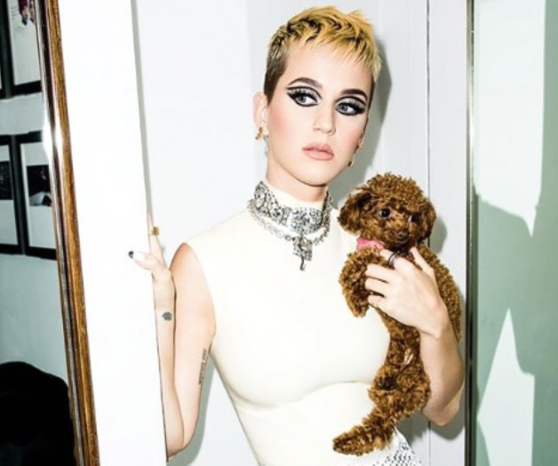 Ganará 25 mdd en ‘American Idol’